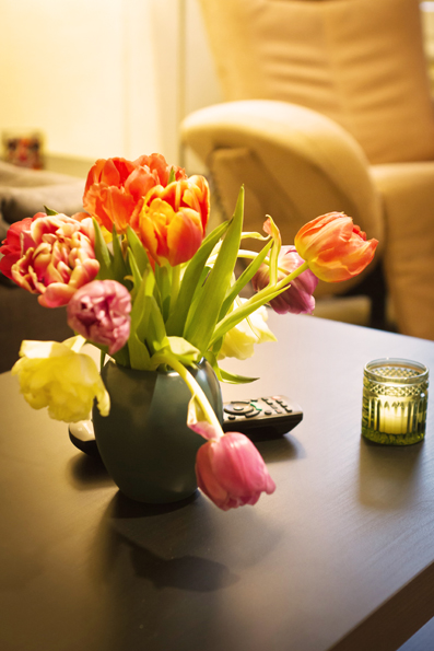 Achim's Altstadt Apartments